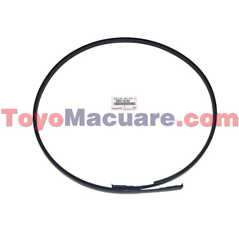75551-52160 Moldura Rh Techo Yaris Belta