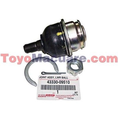 43330-09510 Muñon Inferior Fortuner 05-18, Hilux 05-18