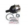 43330-09510 Muñon Inferior Fortuner 05-18, Hilux 05-18